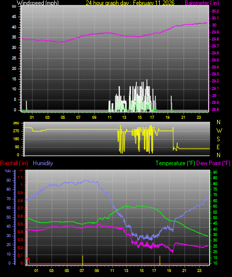 24 Hour Graph for Day 11